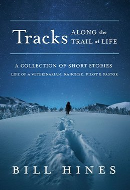 Biography Book 2